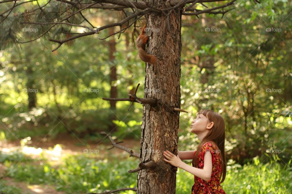 Little girl feeds a squirrel with nuts in the park