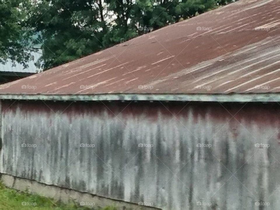 Old shed