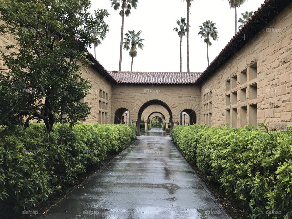 Rainy Stanford