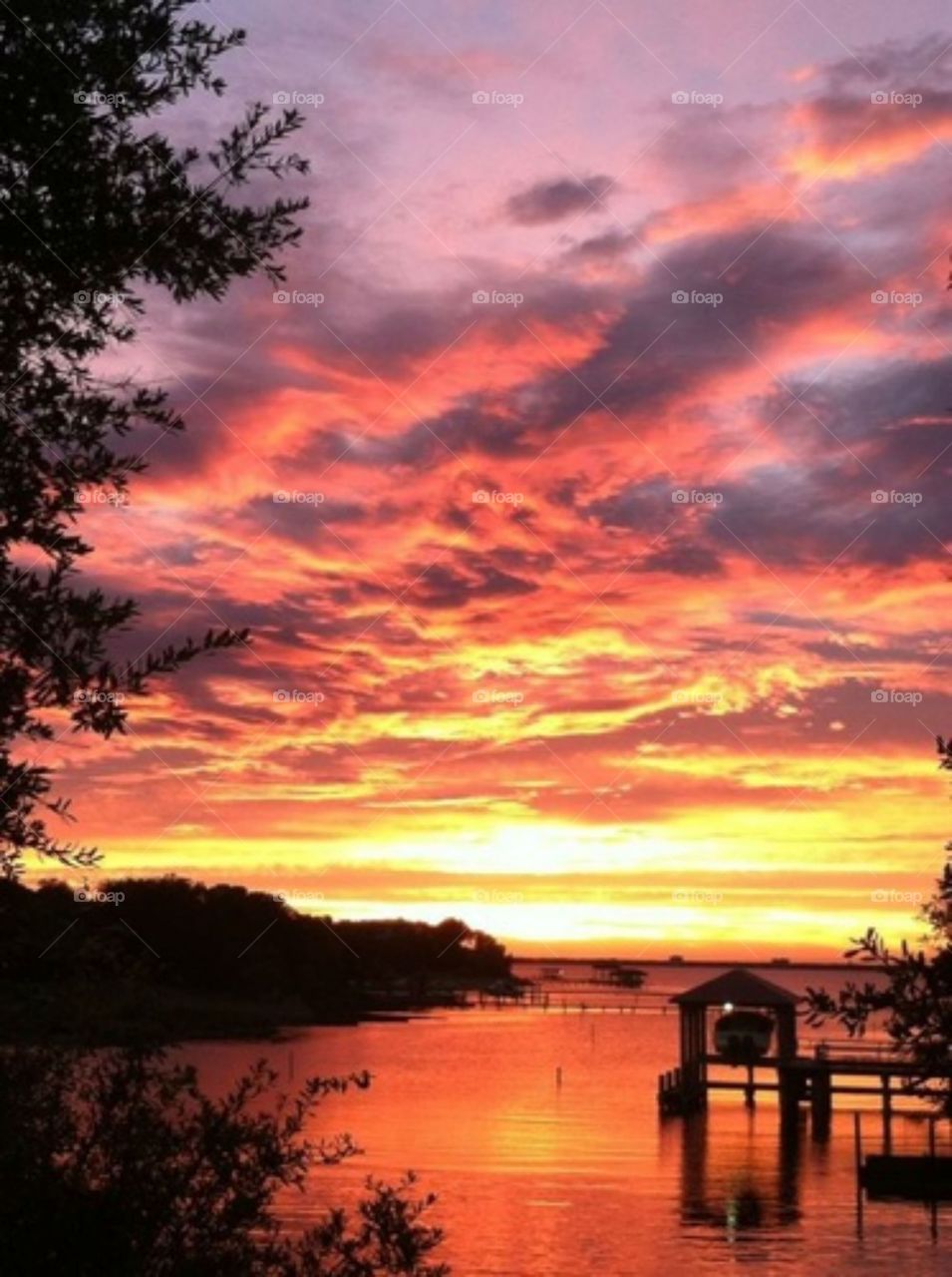 Fire in the sky. A stormy night at the bayou