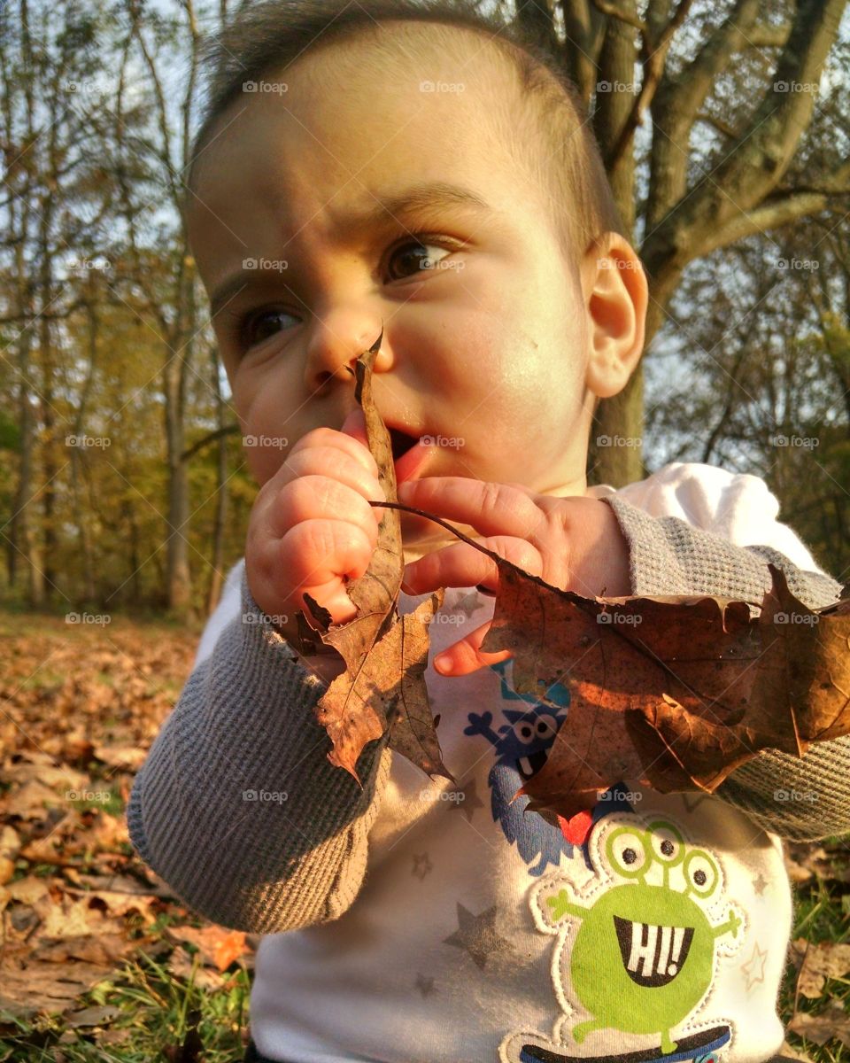 Little boy with dry leaves in hand during autumn