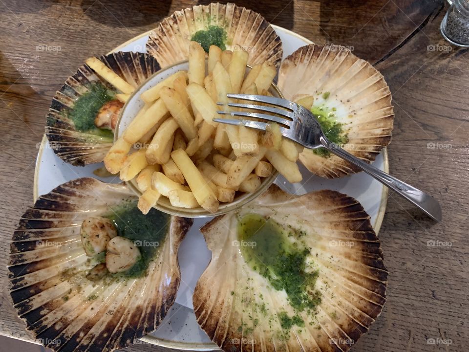 Lovely scallop’s