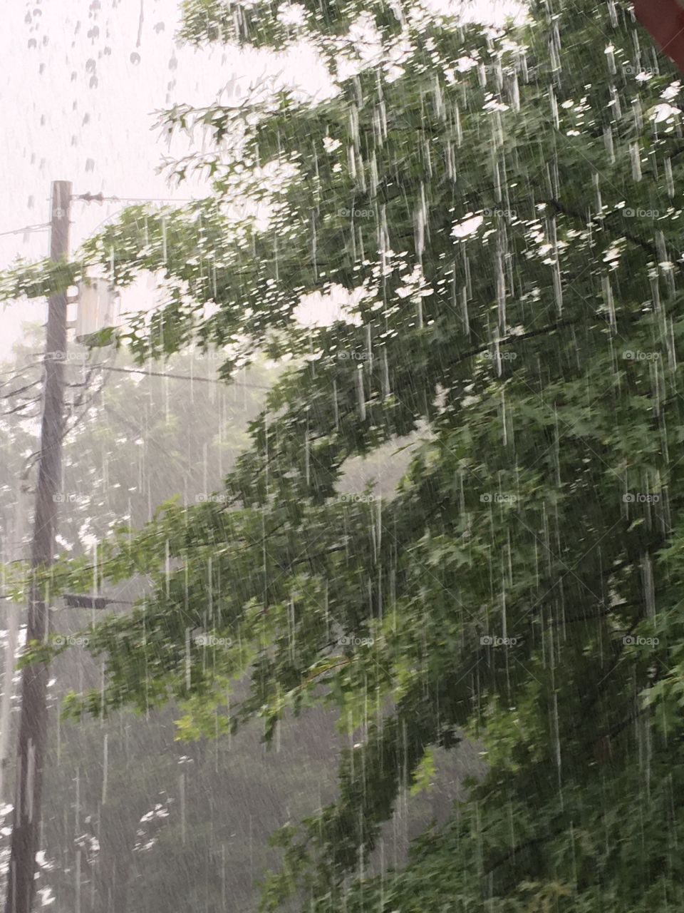 You have to go through a few storms in order to appreciate the rainbow. Enjoy the ride.