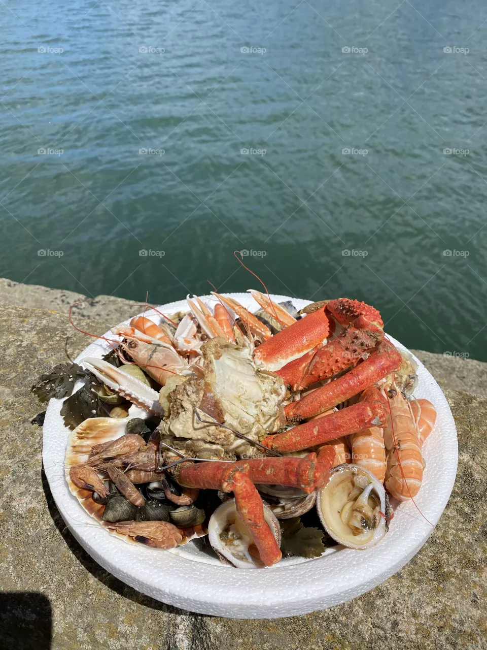 Seafood on a plate with sea as background 