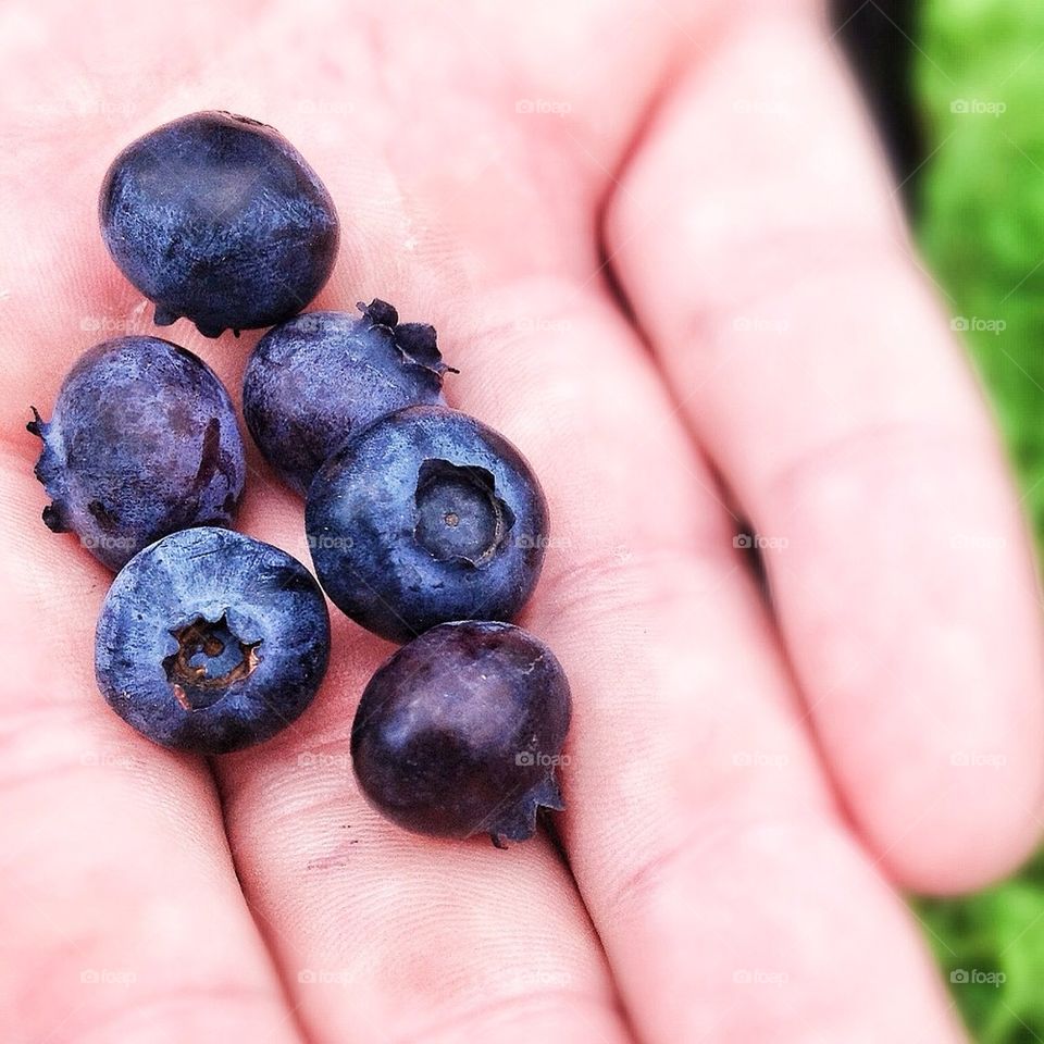 Handful of Blueberries