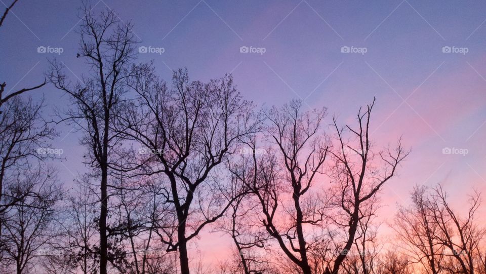 Autum sky. Autum sky in dutham NC