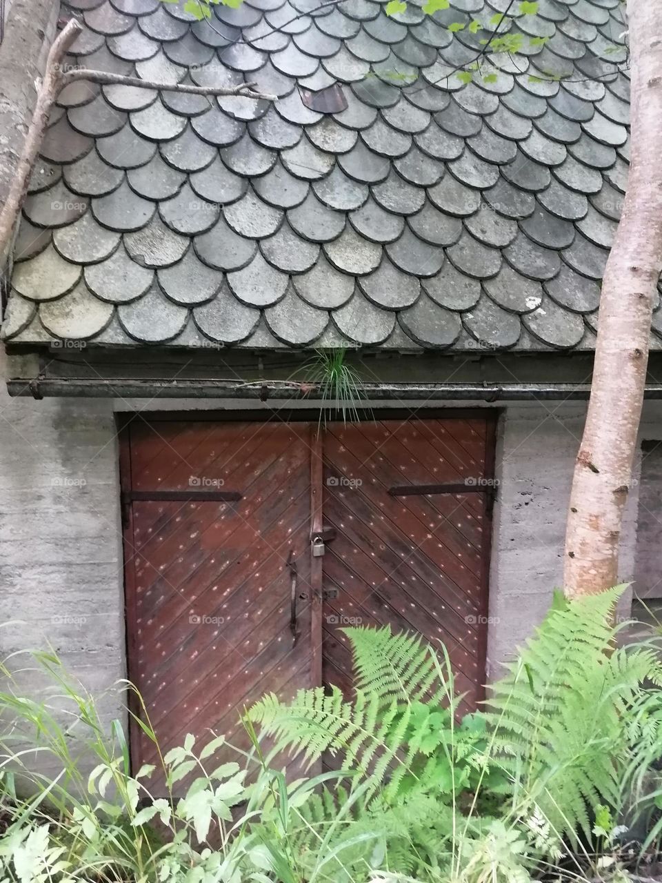 Metal door