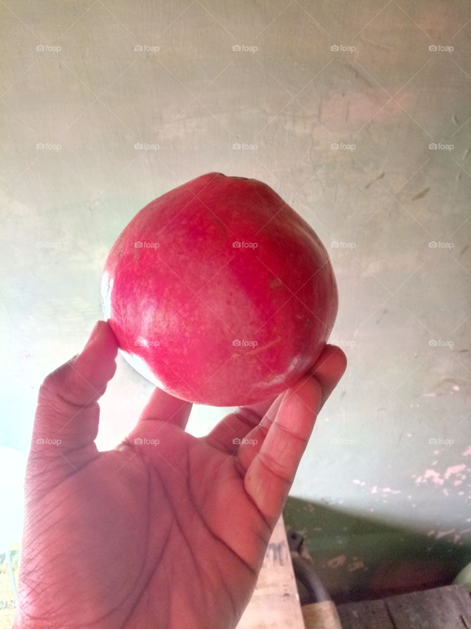pomegranate huge size