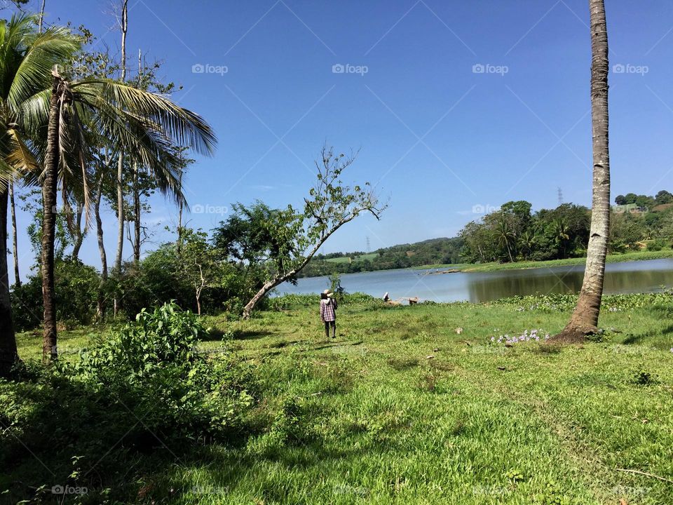 River side with green fields 