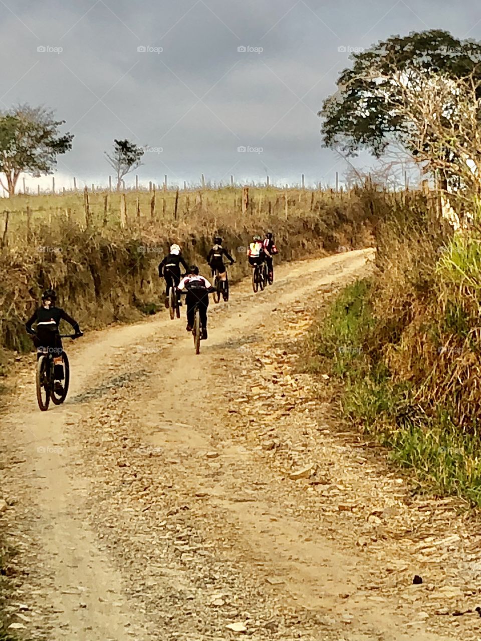 Caminho de Santiago de Compostela 