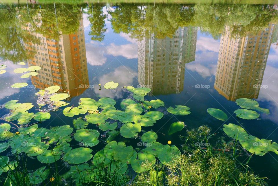 lake in Kyiv