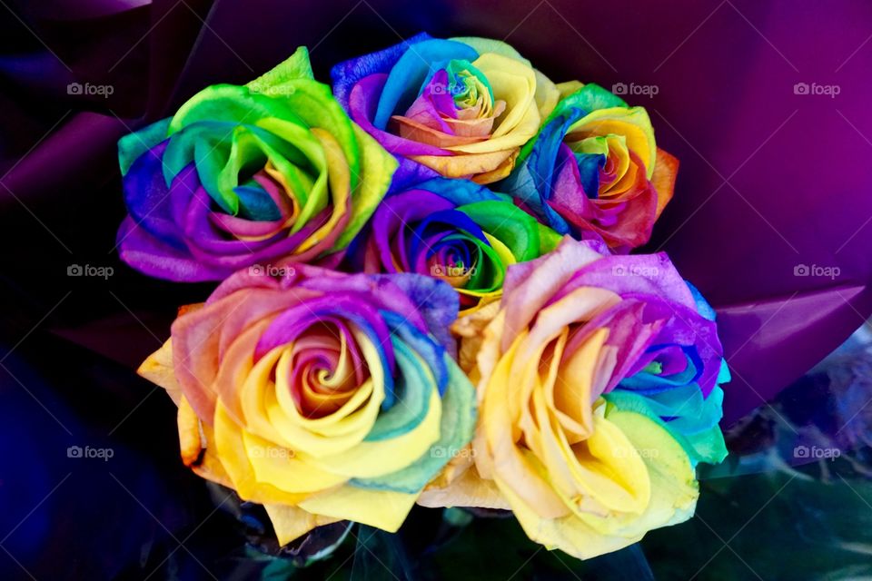Rainbow Roses

How do they get their many colours ?