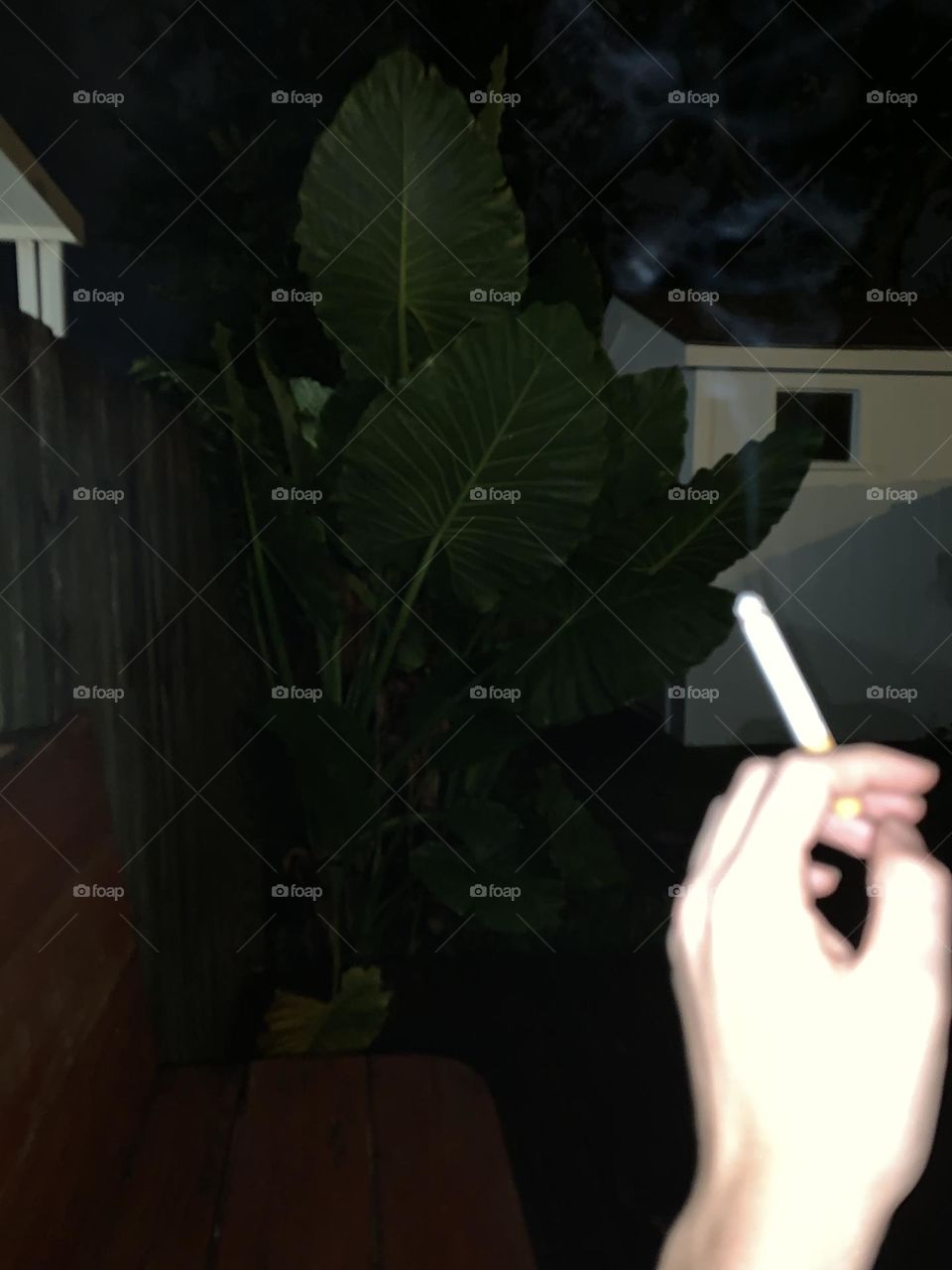 Moody, aesthetic nighttime picture I took. It may not be anything special but I thought it turned out really cool.