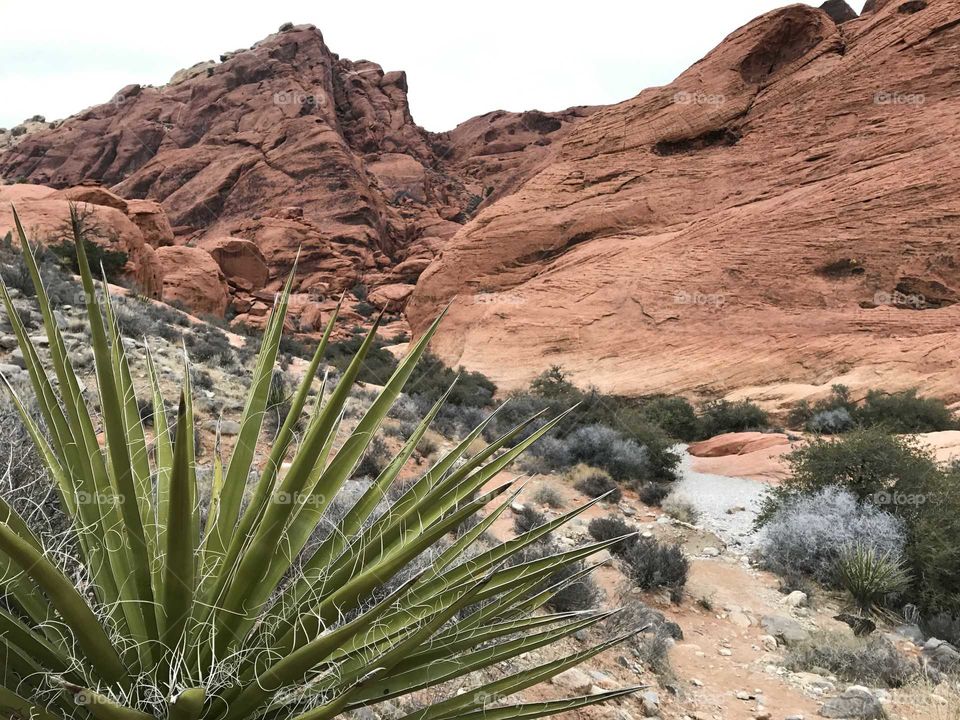 Red Rock