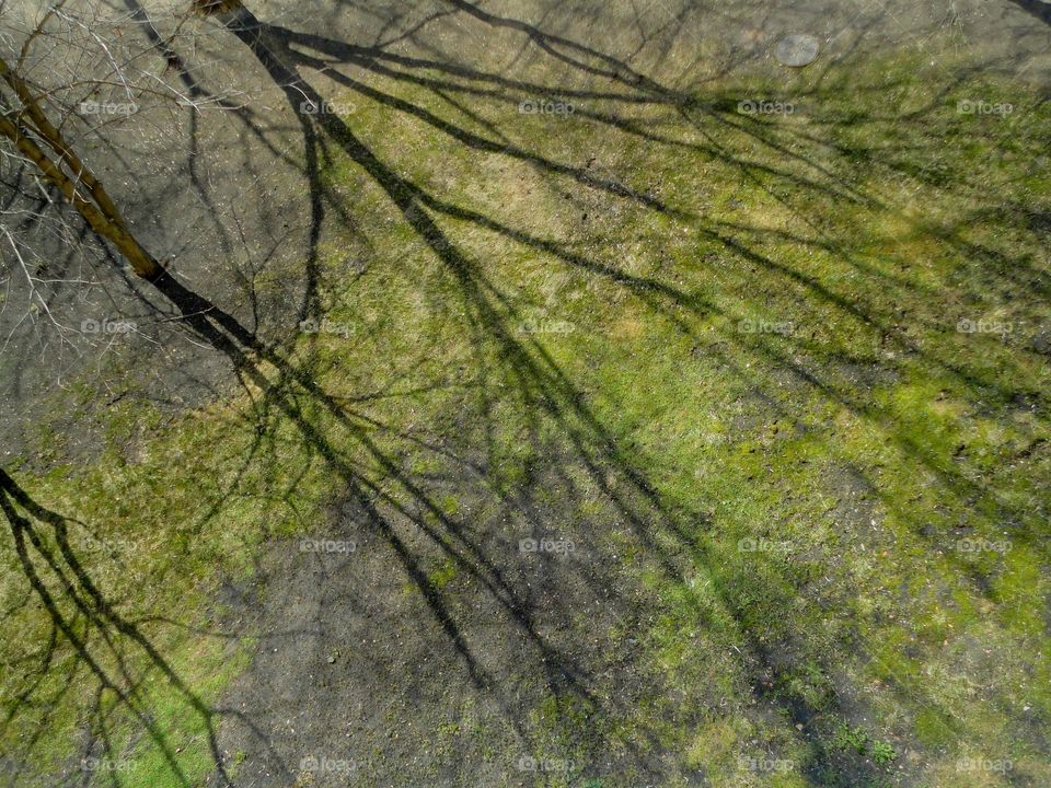 Nature, Desktop, No Person, Texture, Abstract