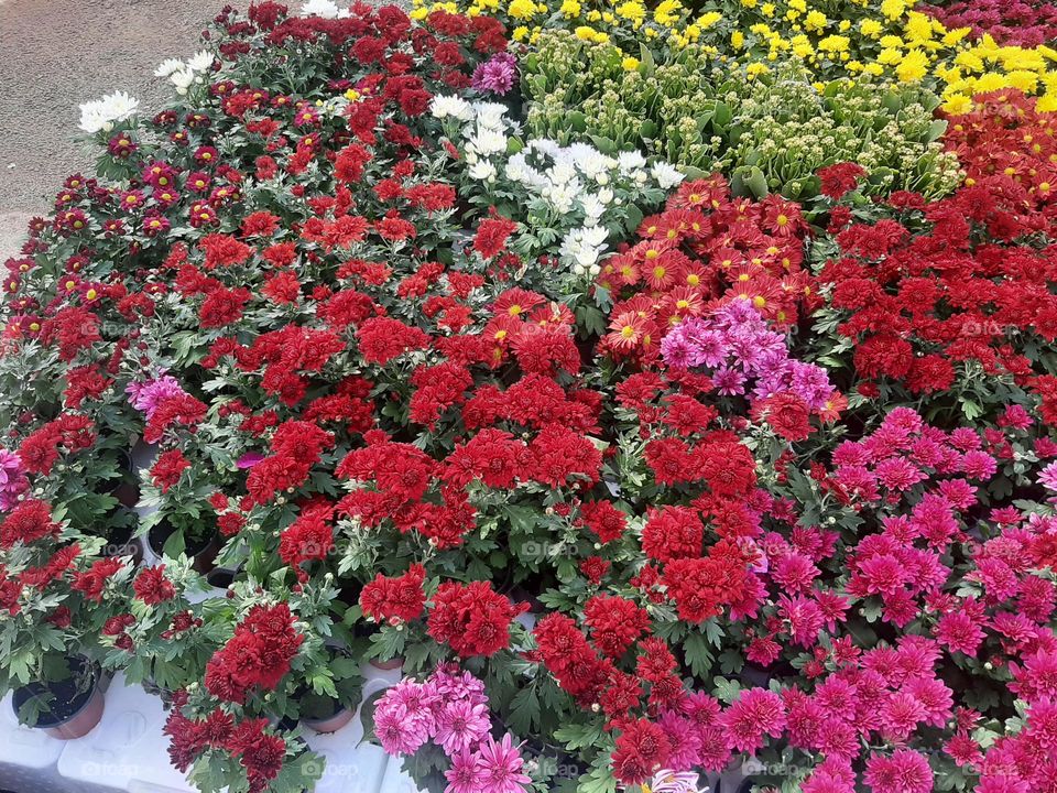 Please make me happy, I am poor, I need your help with support