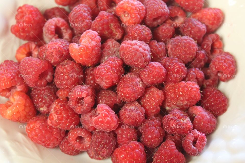 Raspberries up close 

