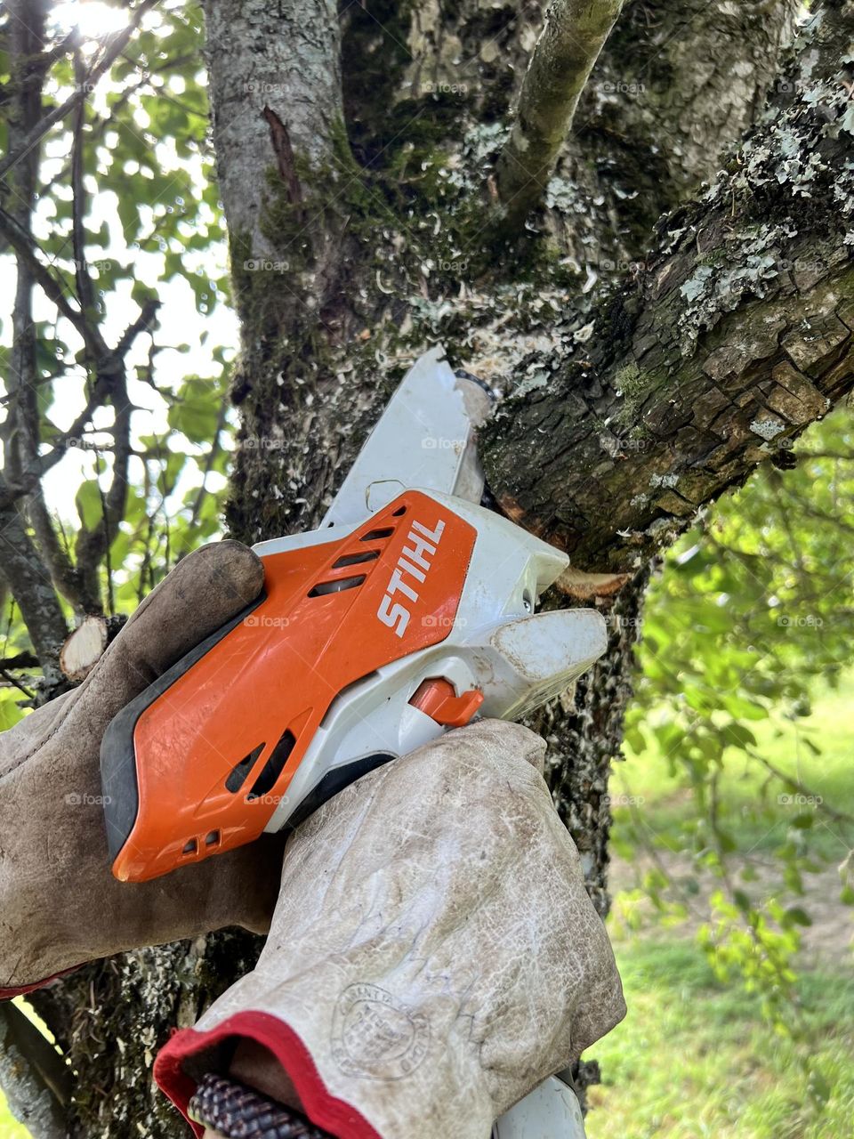 Stihl working Hard in the garden