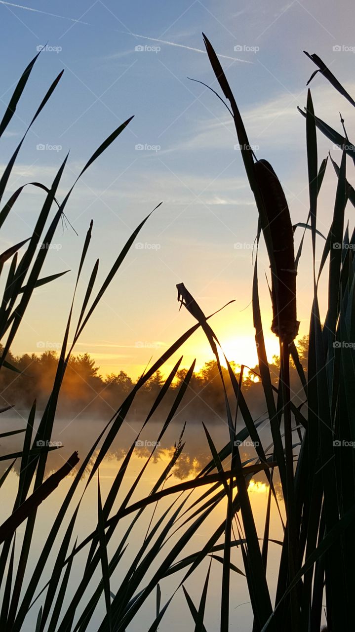 autumn sunrise over the pond