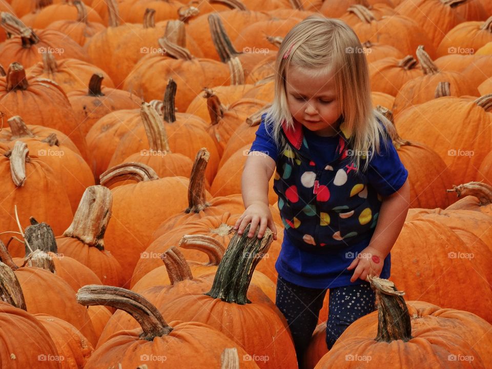 Girl At The Pumpkin Patch
