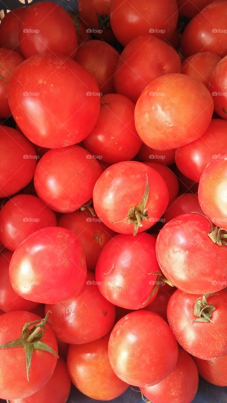 Red tomatoes.