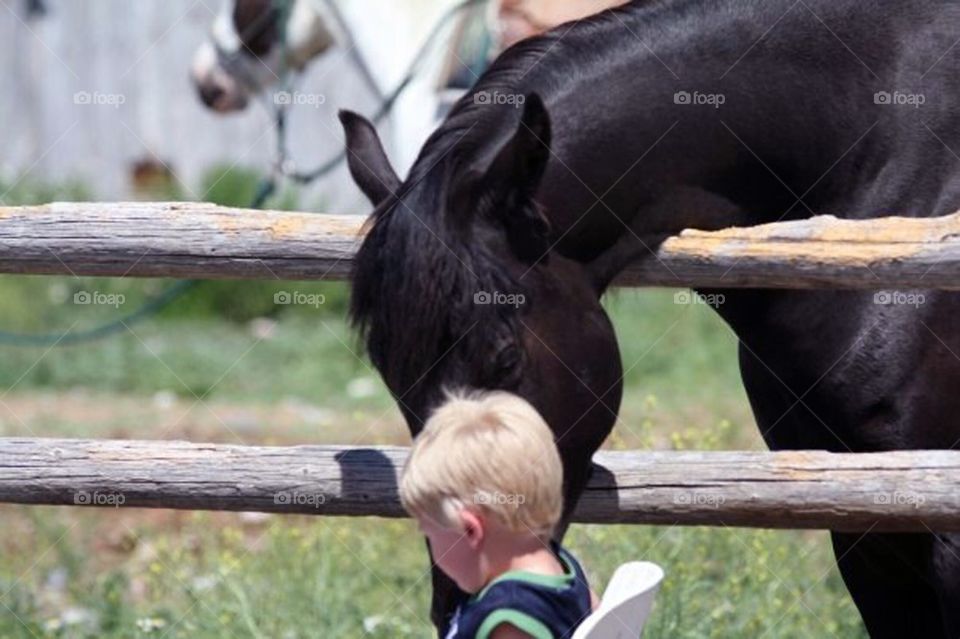 Little Boy and his Horse