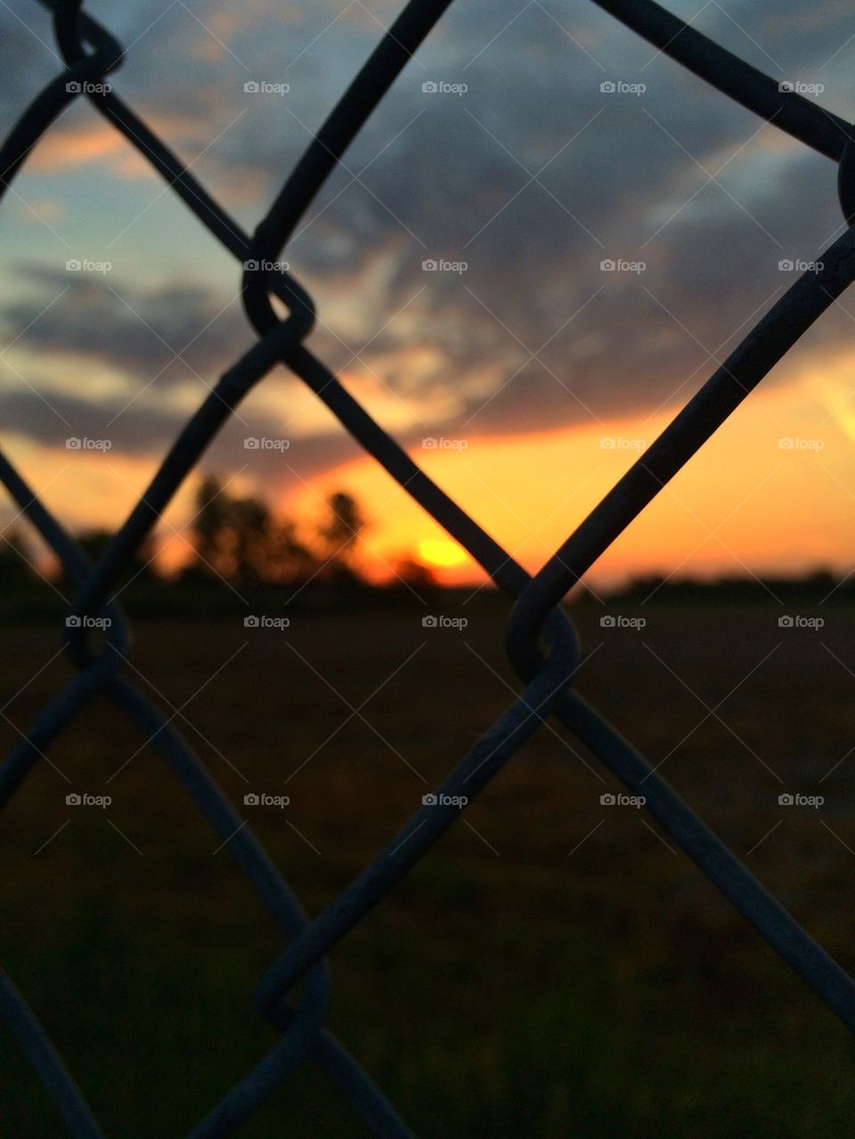 Through the fence 
