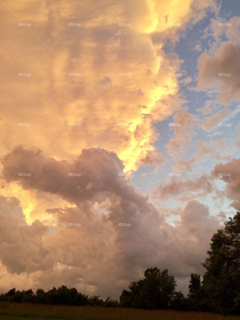 Storm Clouds, storm, clouds, cloud, sky, light, sunshine, tree, trees, field, grass, tree line, silhouette, shadow