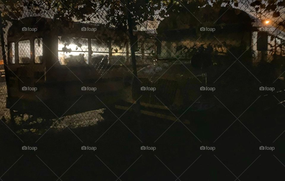 School bus ivy fence