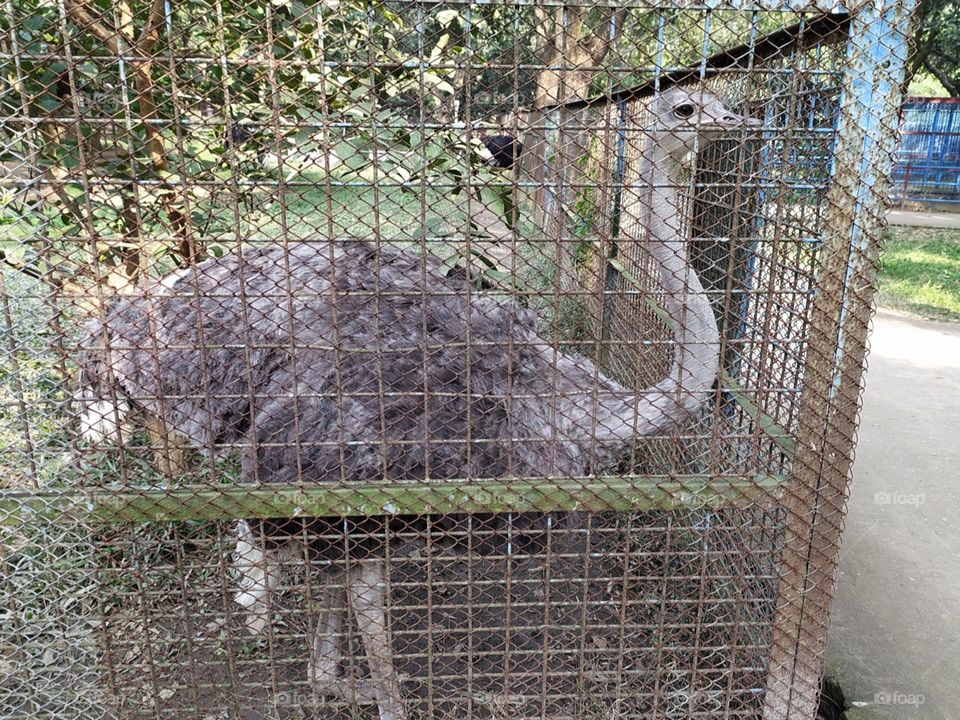 Editors' choice:Photo of the week