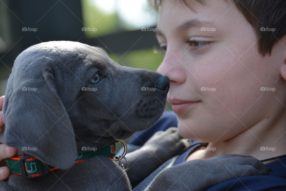 Nose to nose puppy love