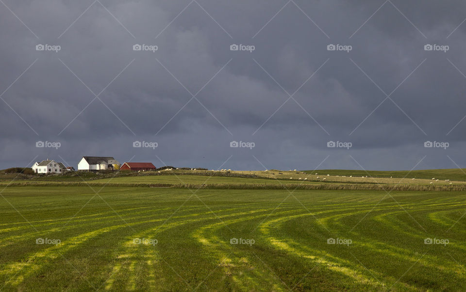 Farmland.