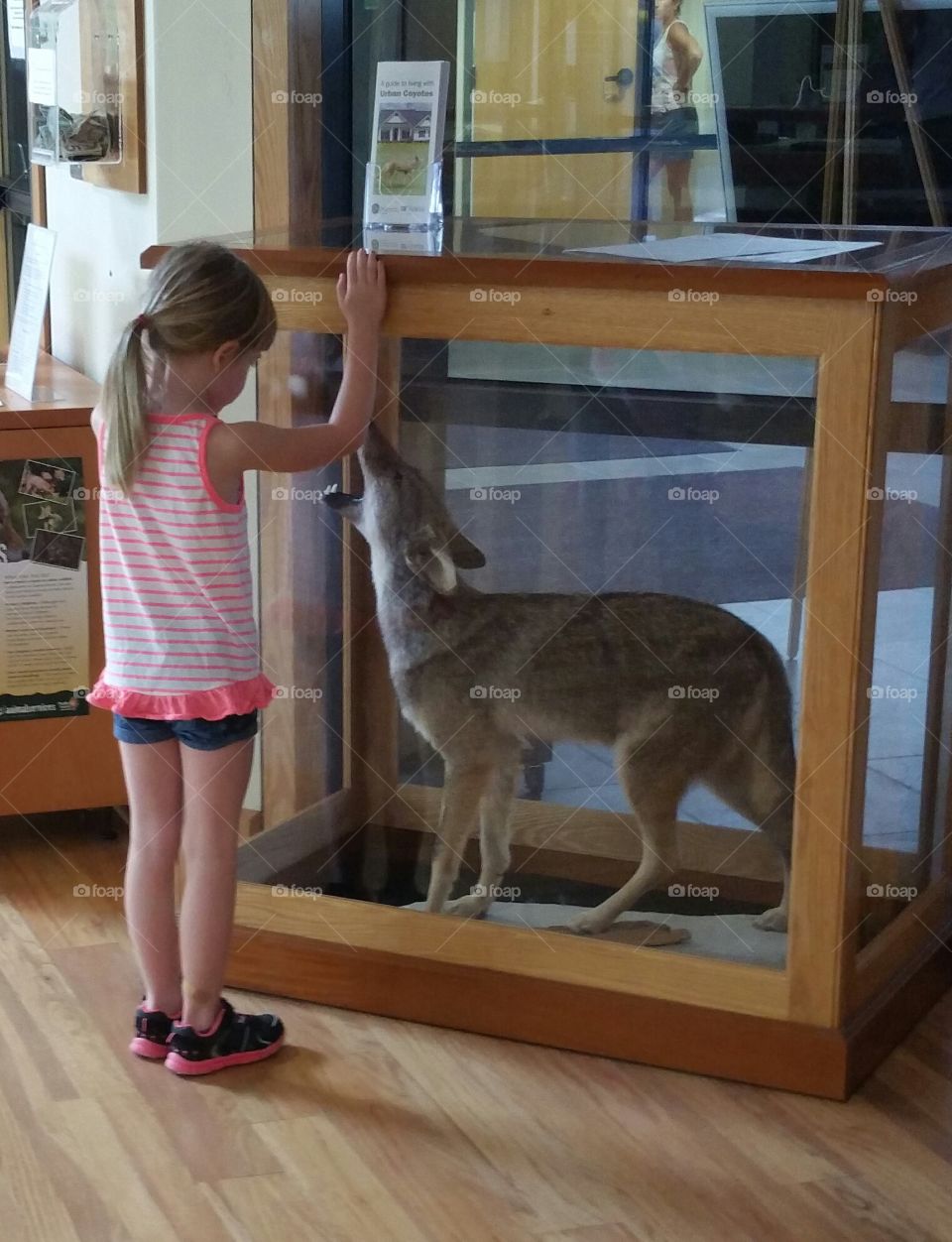 Wilderness Education. Brooker Creek preserve educational center