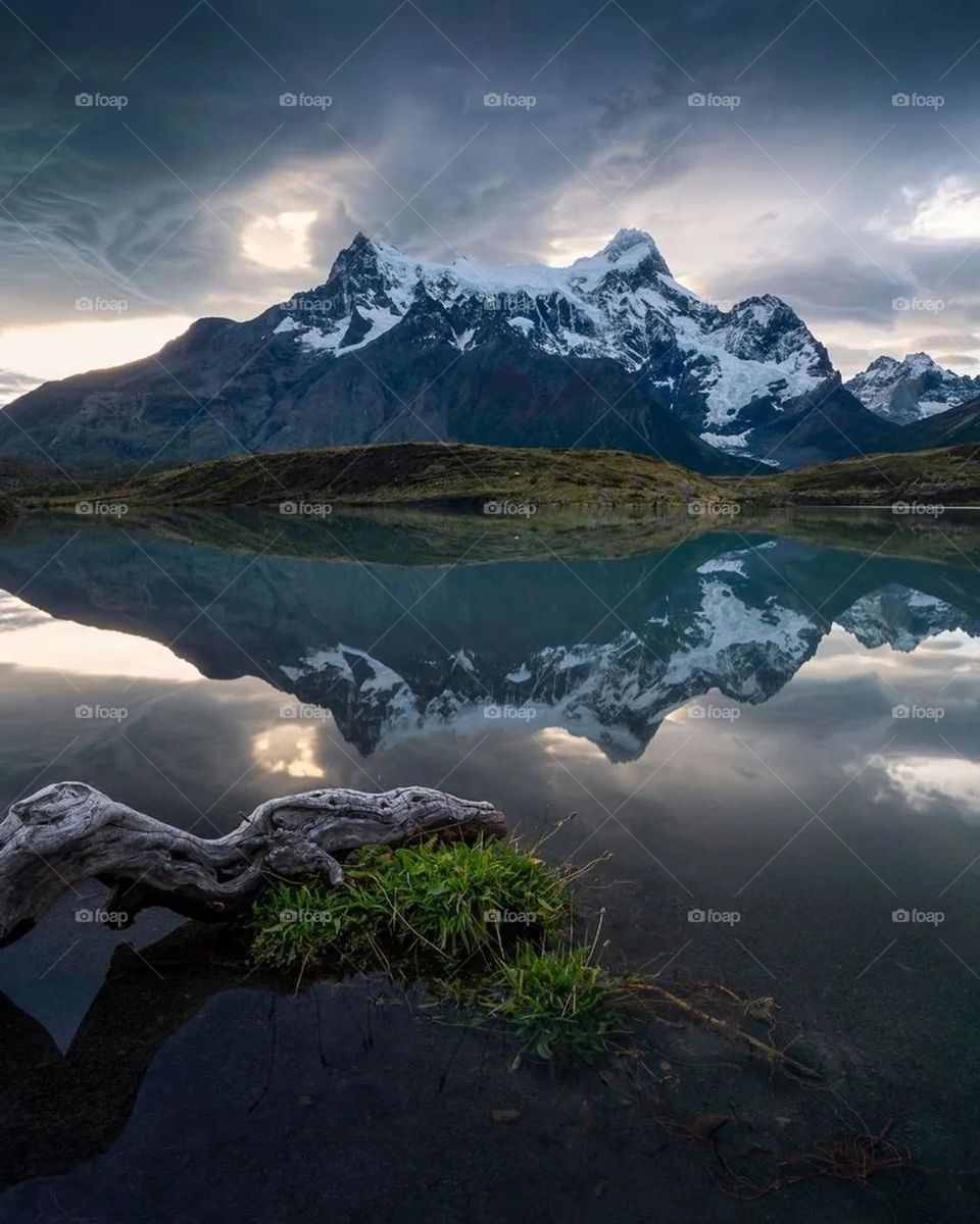 do you like this photo