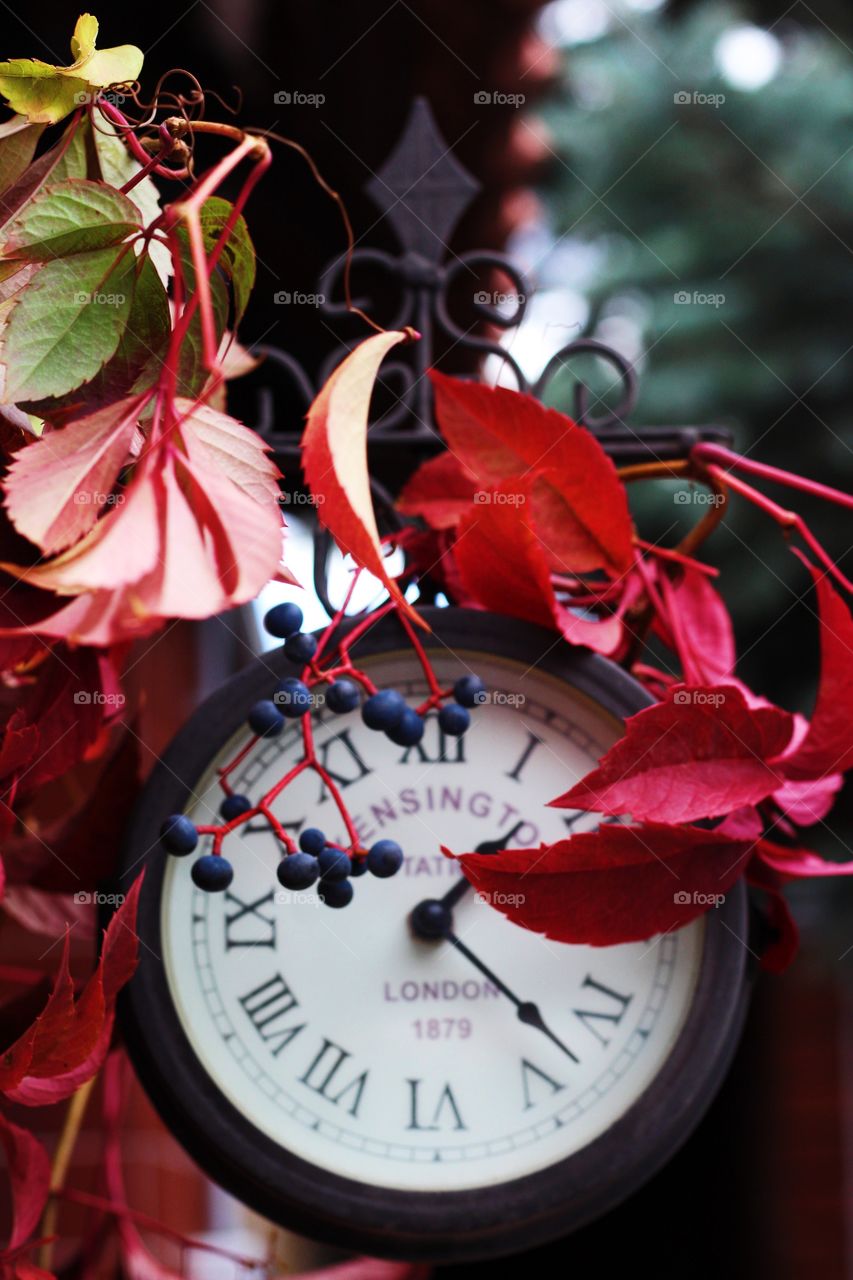 Time is autumn 