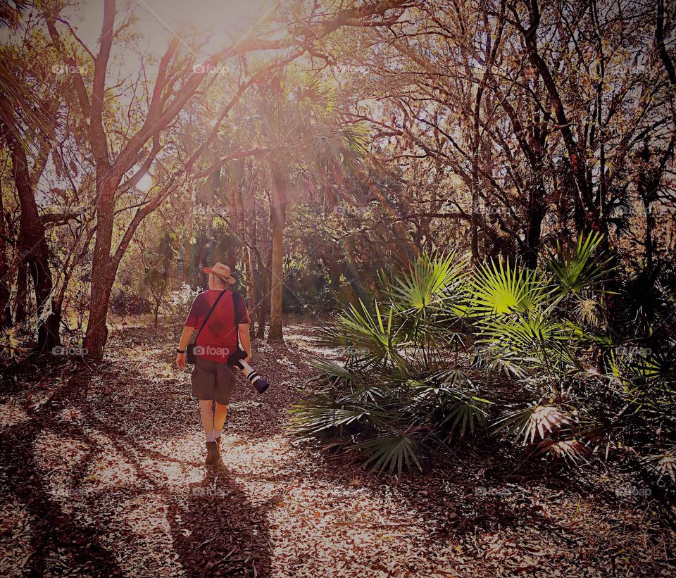 Photographer exploring a sunlit park on a beautiful summer morning 