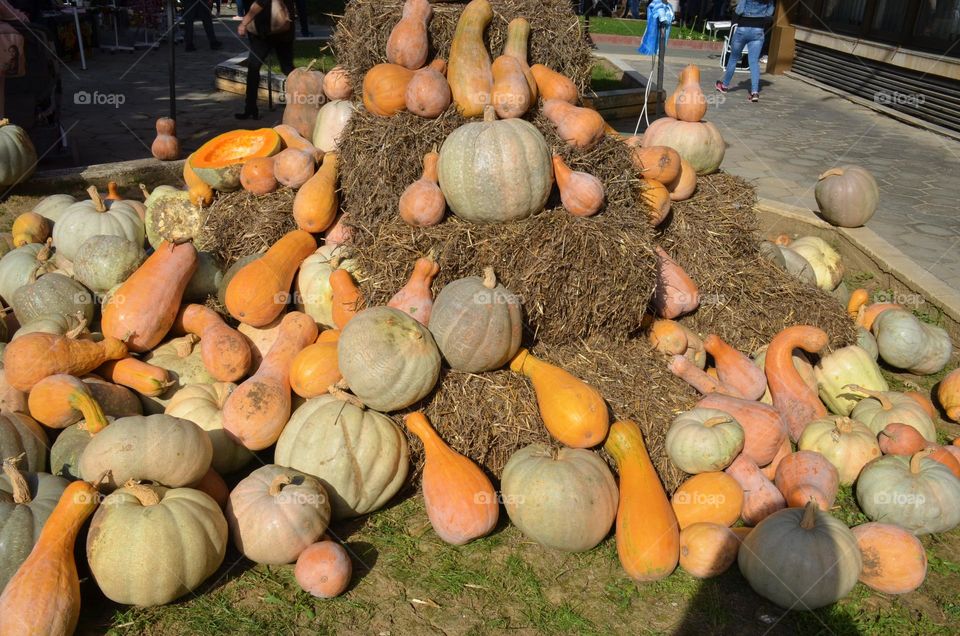 Pumpkins pile on hay stacks in street