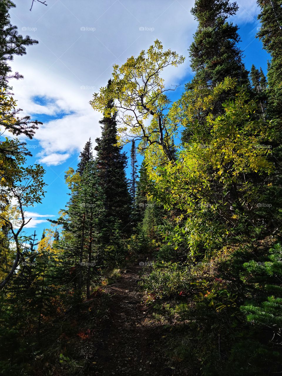 Hiking though the Fall forests while they start to change colors