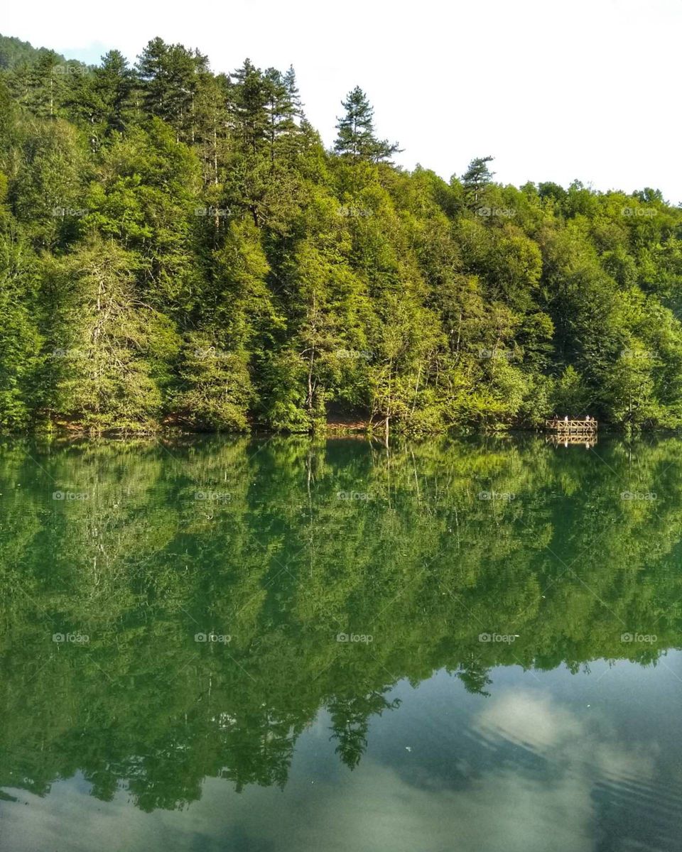reflection deep green