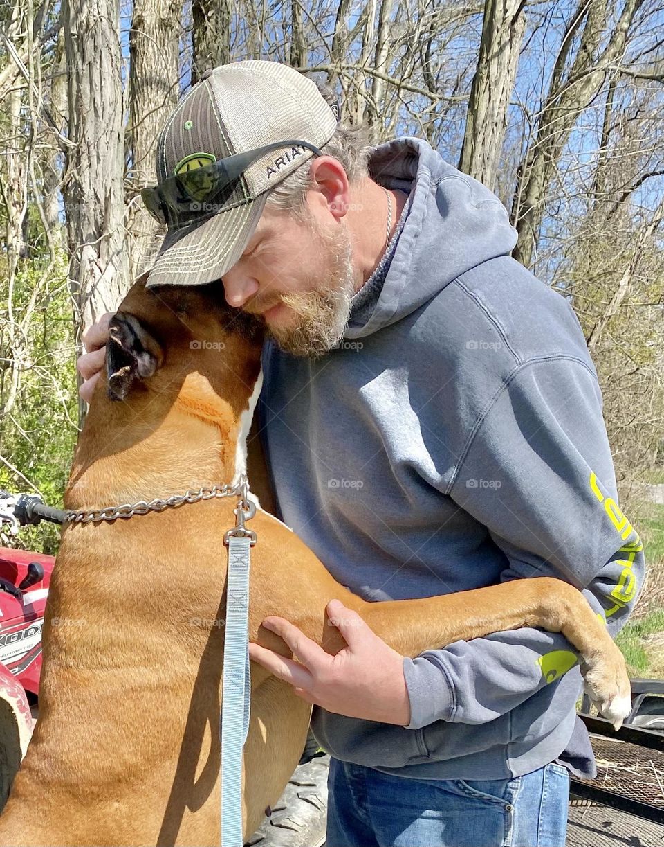 A boxer showing affection to his owner