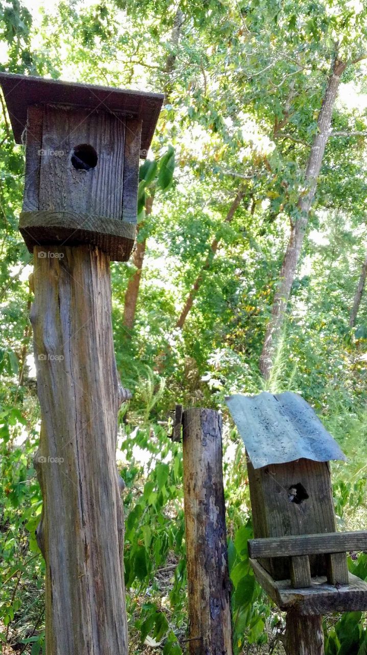 abandoned birdhouses