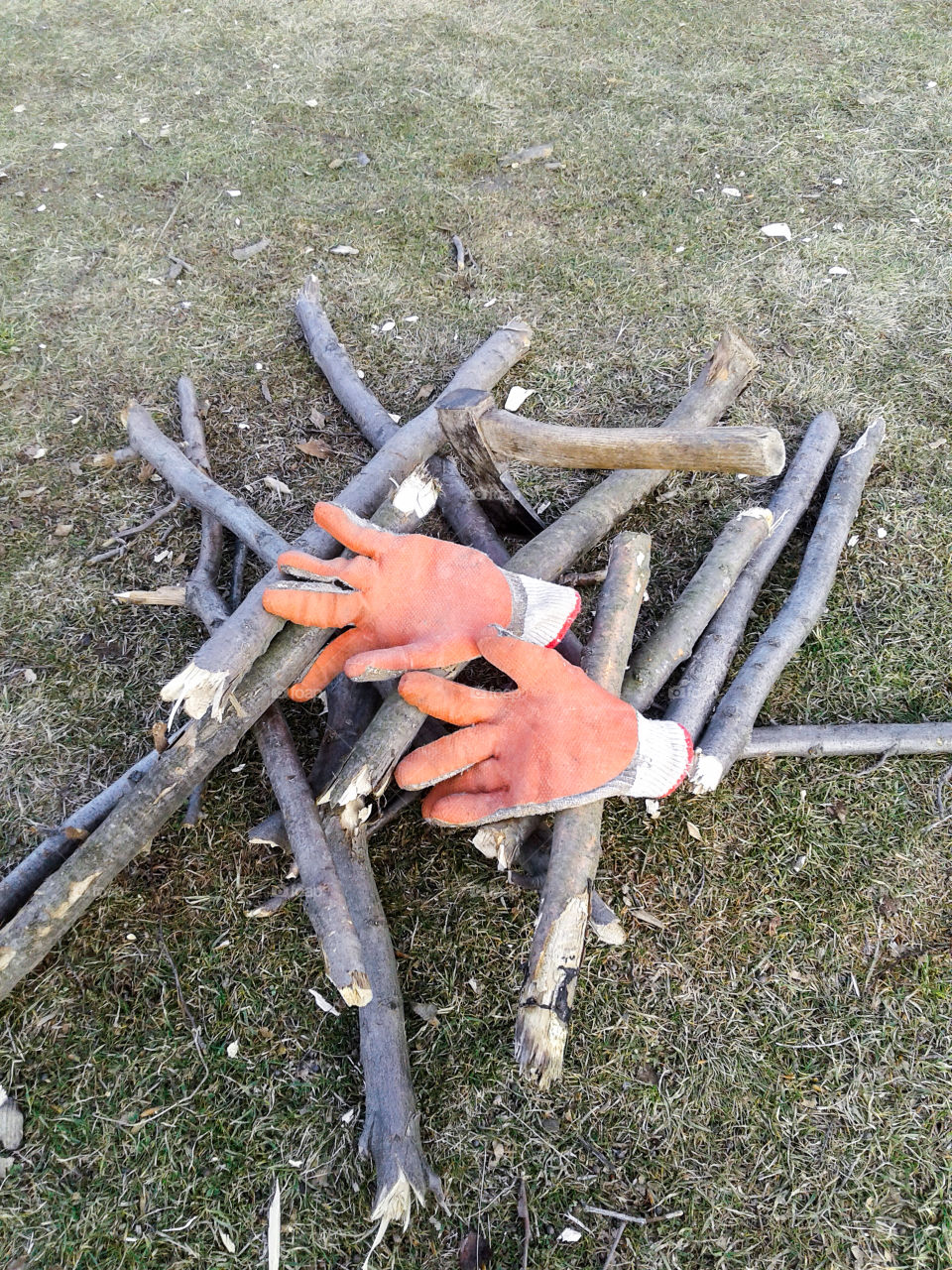 pairs of glowes,hatchet axe,and of course there are some wood to set a wonderfull camp fire...