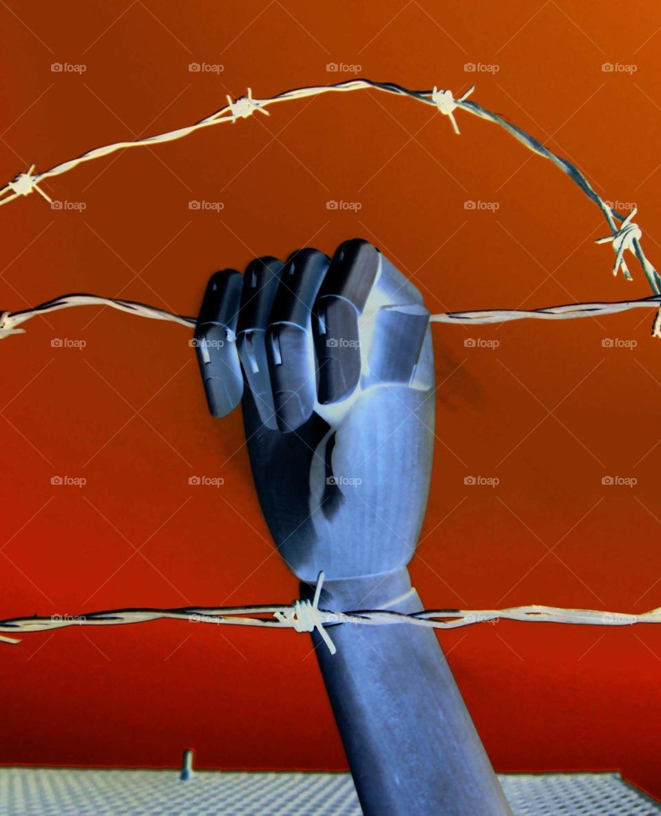 Grabbing hold of barbed wire