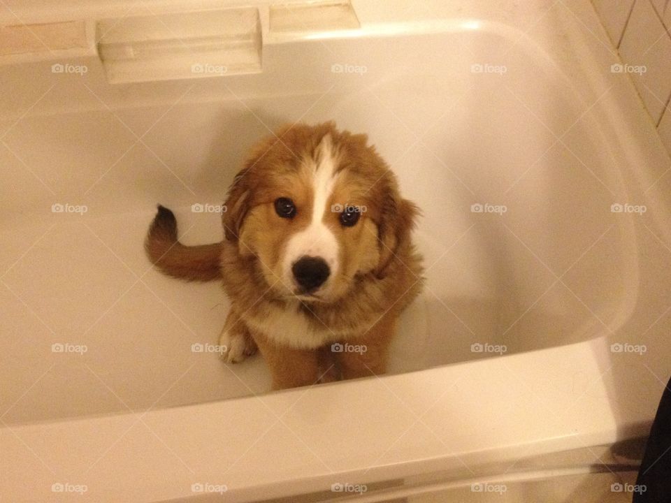 Bath time 