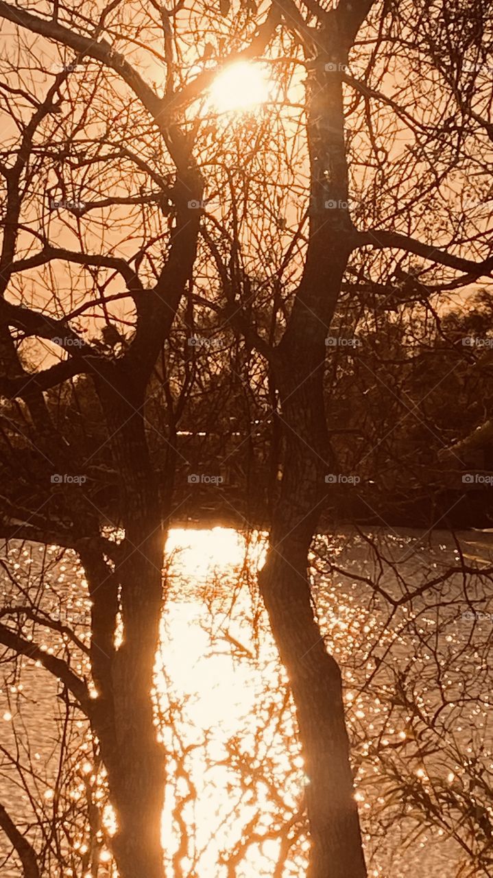 Evening shot with Almighty Sun high in the sky Reflections from the sun to lake waters. 