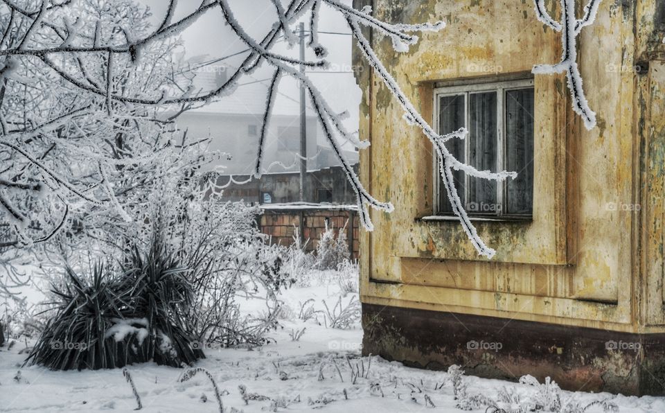 Winter, Snow, Wood, House, Frost