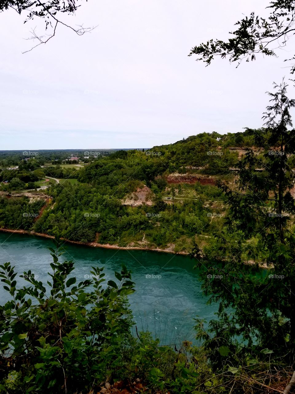 Niagara river