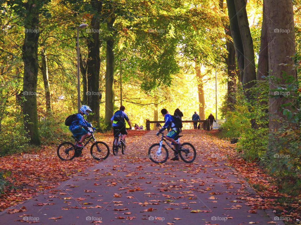 cycling in the autumn leaves