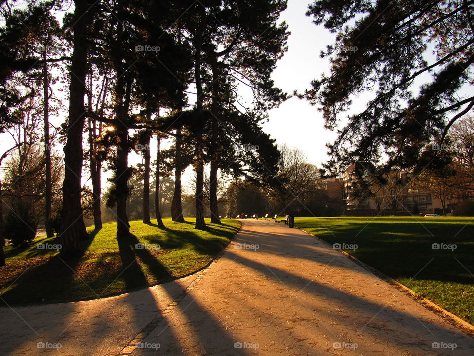 In the park