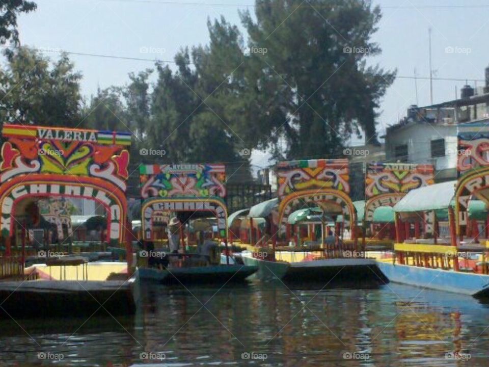 Floating gardens of Xochimilco 